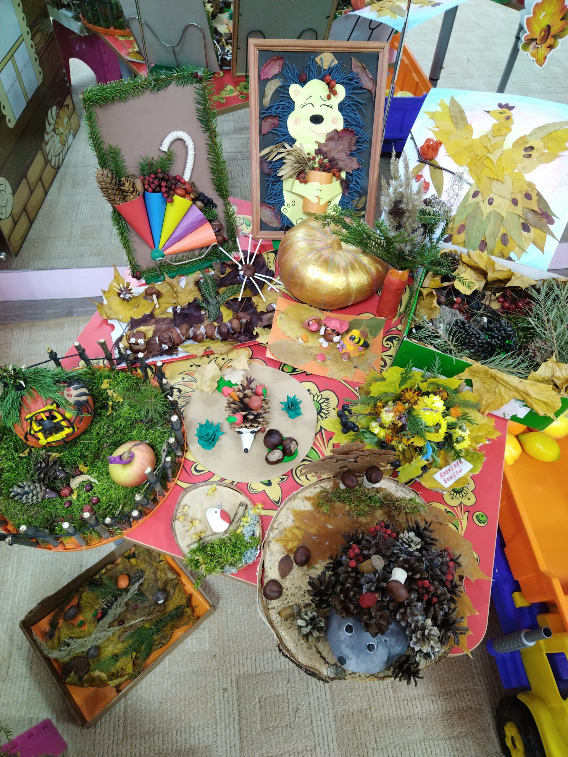 Работы на выставку детей с ОВЗ В детском саду из природного материала
