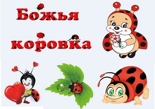 Божья коровка
